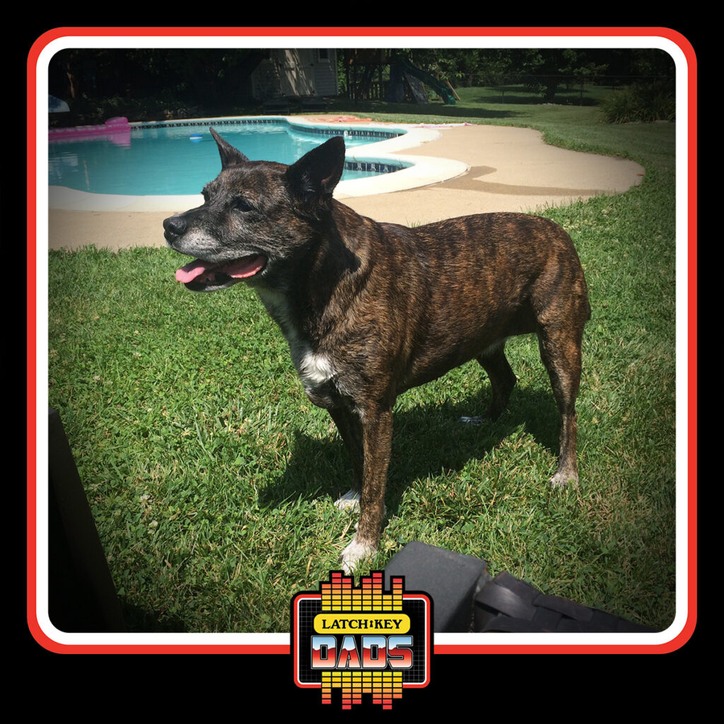 Latch-Key Dads- Tim's dog