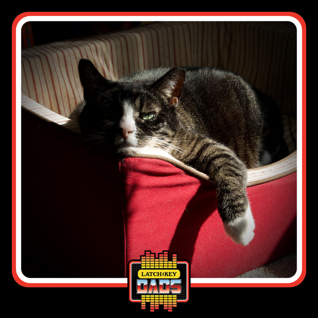 Latch-Key Dads- Tim's cat